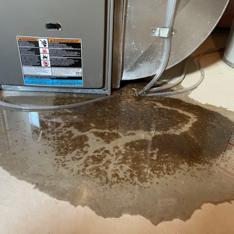 Appliance Leak Cleanup in Southport, IN